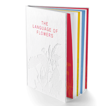 The Language of Flowers Buch